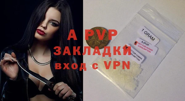 хмурый Бородино
