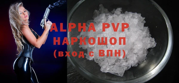 хмурый Бородино
