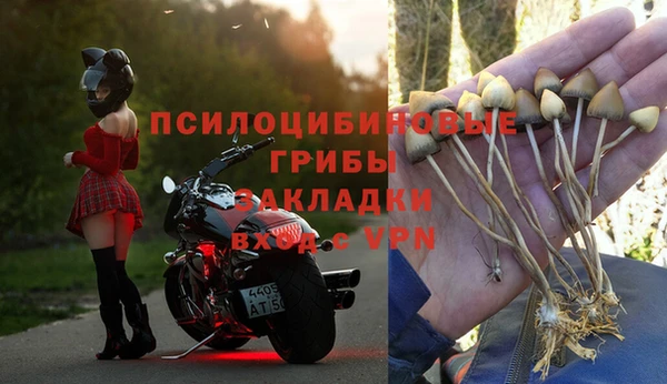 хмурый Бородино