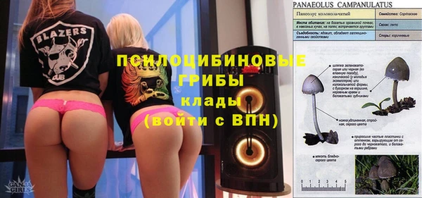 хмурый Бородино