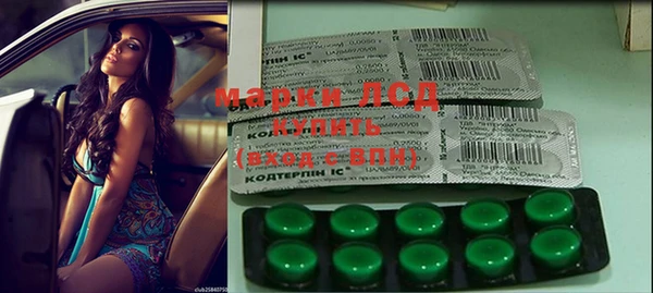 хмурый Бородино