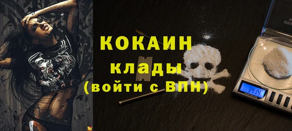 хмурый Бородино