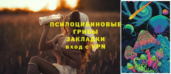 хмурый Бородино